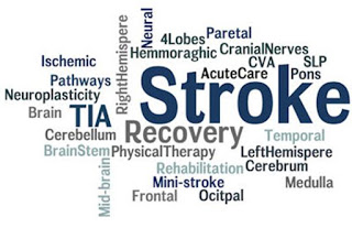 Pengobatan untuk orang stroke, Obat Stroke Mata, Tips Mengobati Stroke Secara Alami, Obat Stroke Laminine, Jual Obat Stroke, Pengobatan Stroke Secara Tradisional, Obat Batuk Untuk Orang Stroke, Obat Stroke Non Hemoragic, Cara Menghilangkan Penyakit Stroke Ringan, Obat Alami Atasi Stroke, Amalan Mengobati Stroke